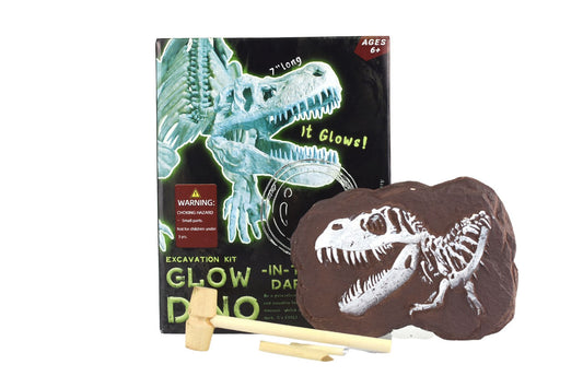 Glow-in-the-dark T-Rex skeleton excavation kit for kids, engaging and educational play at home.