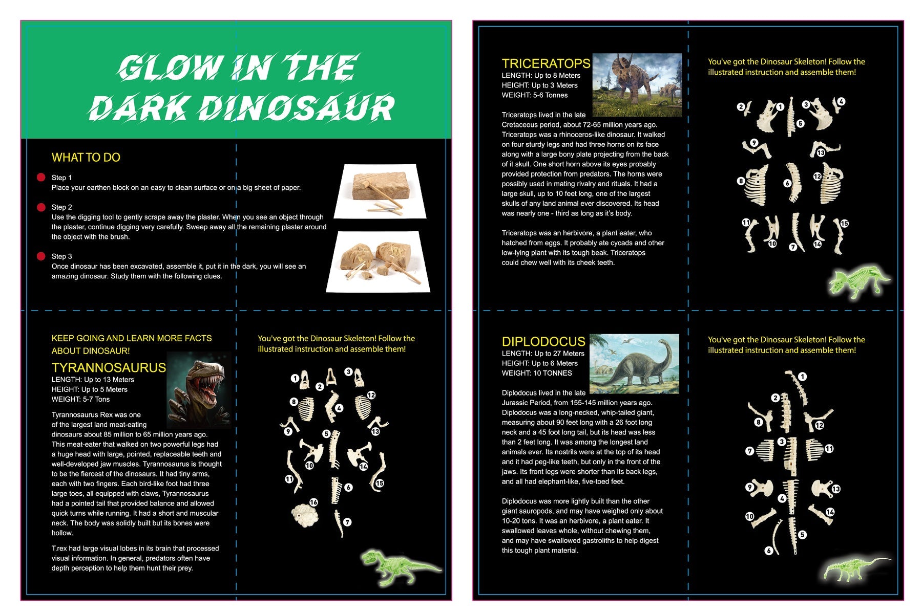 Glow-in-the-dark T-Rex skeleton excavation kit for kids, offering fun and educational play at home.