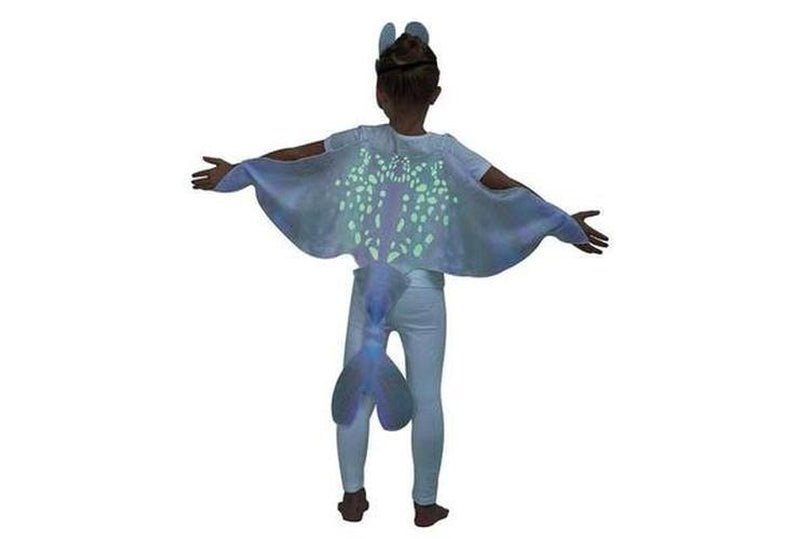 Buy Light Fury Glow In The Dark Cape Wings and Mask Australia Delivery