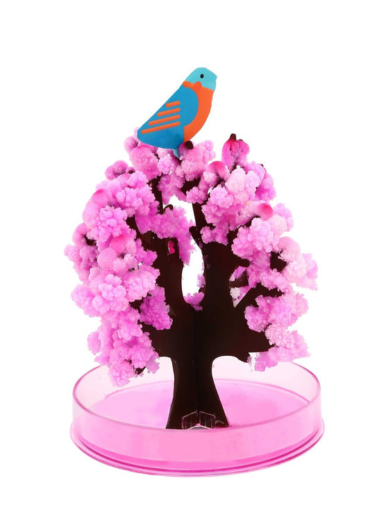 Sakura tree magic growing kit, fun and educational toy for childrens home gardening.