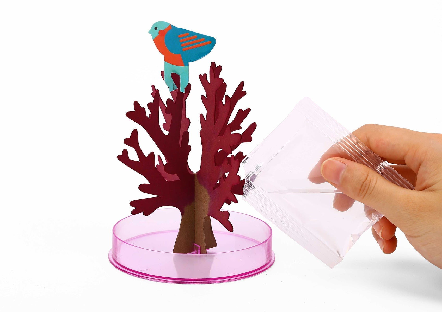 Magic Growing Tree | Sakura Tree Kit