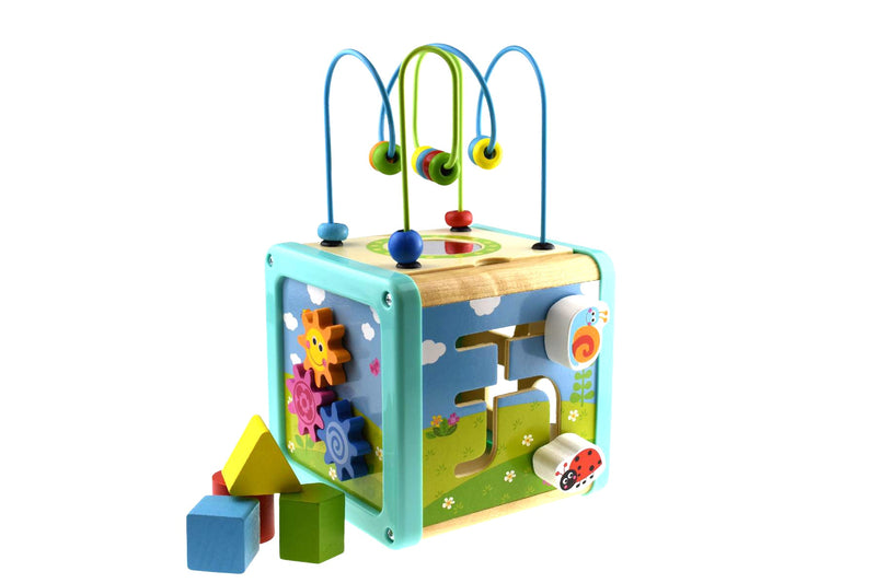 Educational Wooden Play Cube