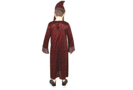 Harry Potter Professor Dumbledore costume for kids home play, includes robe, hat and beard.