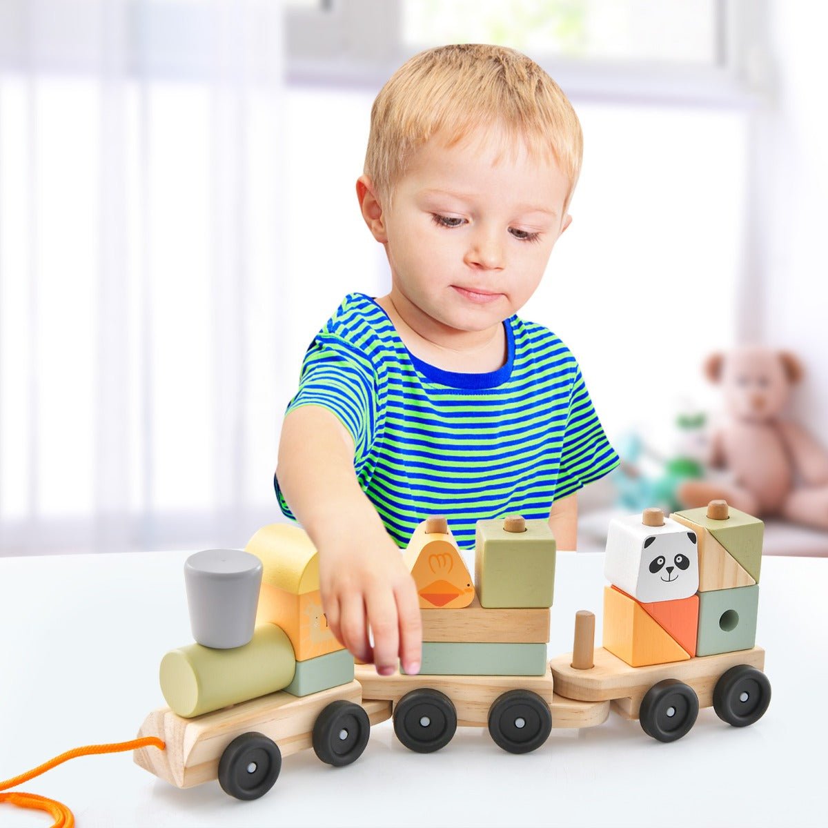 Wooden Train on-the-Go with Colorful Blocks