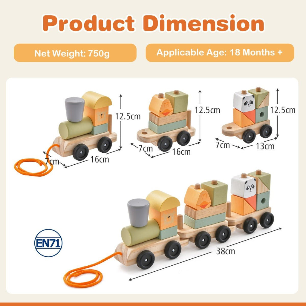 Push Pull Train Set Pull-Along Wooden Train Set with Blocks | Buy at Kids Mega Mart