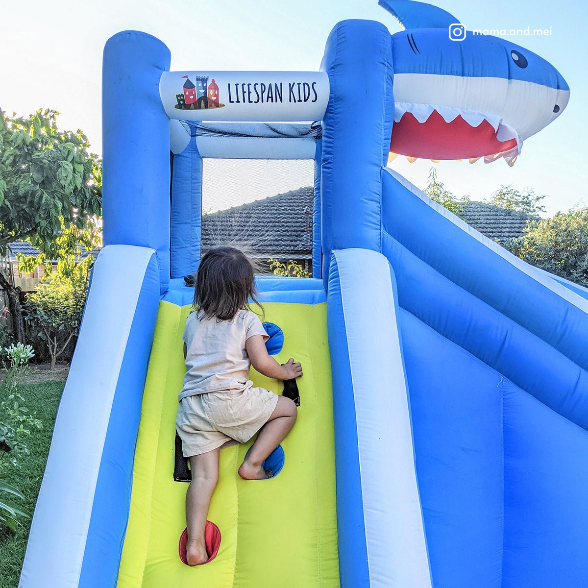 Colorful Sharky Water Slide and Splash Inflatable for Kids, perfect for backyard summer fun.