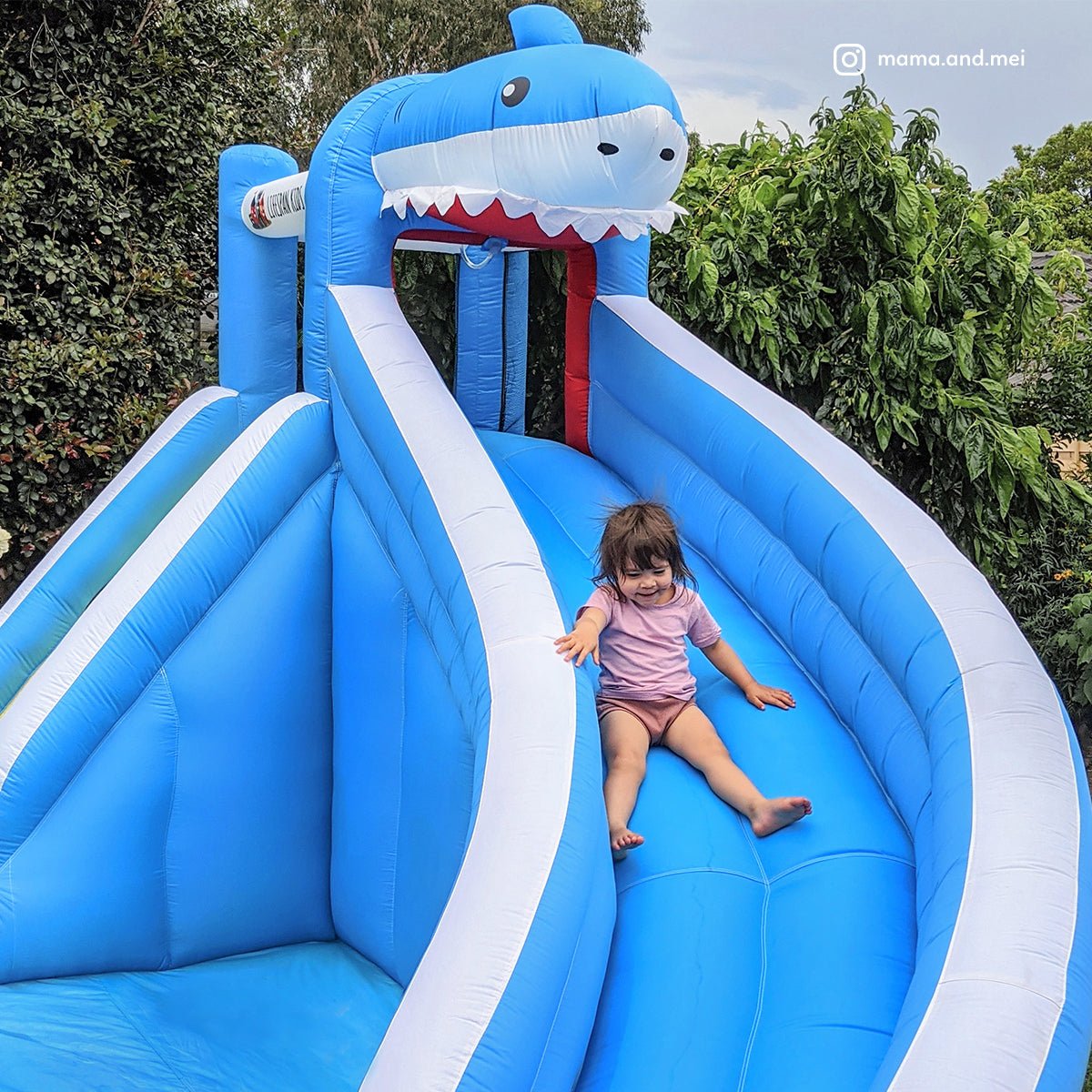 Slide with Sharky Inflatable
