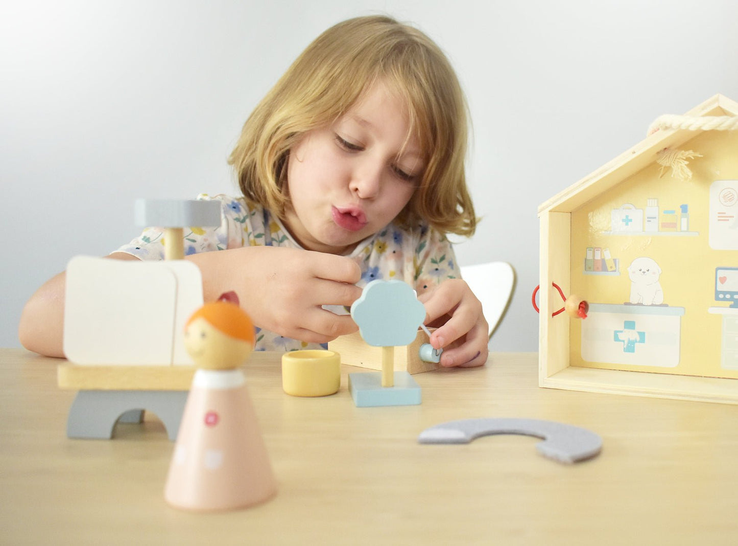 Playset with Pets and Medical Tools